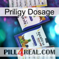 Priligy Dosage 12